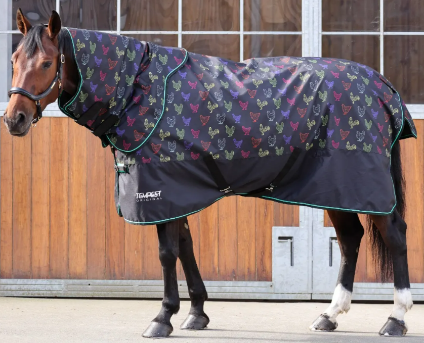 Shires Chicken Rain Sheet with neck
