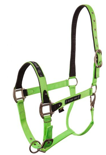 Vivid Halter