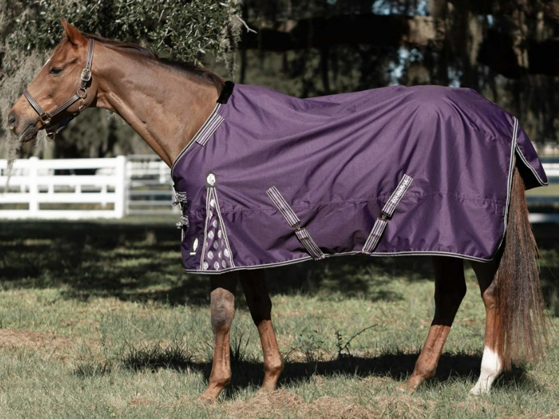 Norse Mid Weight Turnout Blanket with detachable neck 200g