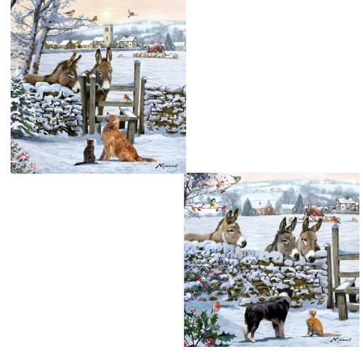 Luxury Christmas Cards 10 Pack