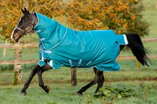 Amigo Bravo 12 Plus 400g