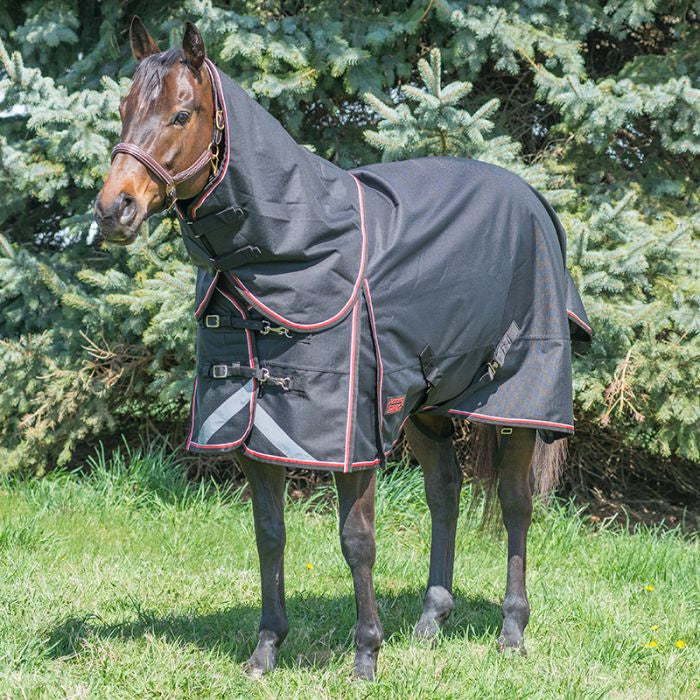 Canadian Horsewear Magnum Diablo 0gm - Liner Compatible