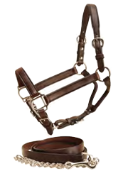 Tapered Show Halter