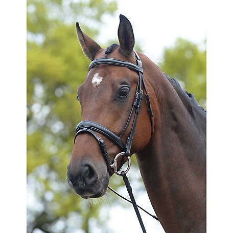 Kincade Flash Bridle