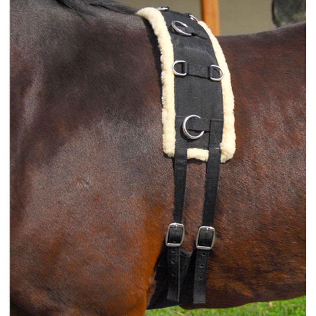 QHP Fleece Lined Lunging Surcingle