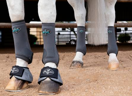 Professional choice 2025 tendon boots