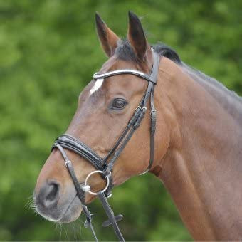 Waldhausen S-Line Greasby Flash Bridle