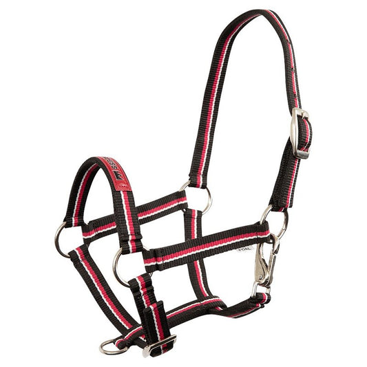 Premiere Fun Foal Halters