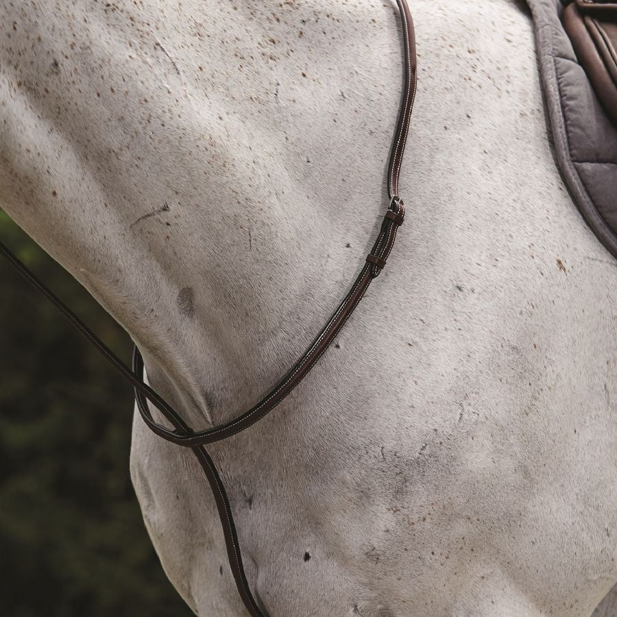 Collegiate Raised Standing Martingale