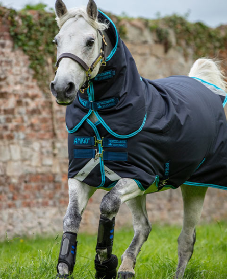 Amigo Bravo 12 Plus Pony