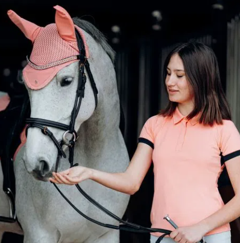 Horze Brackley Browband