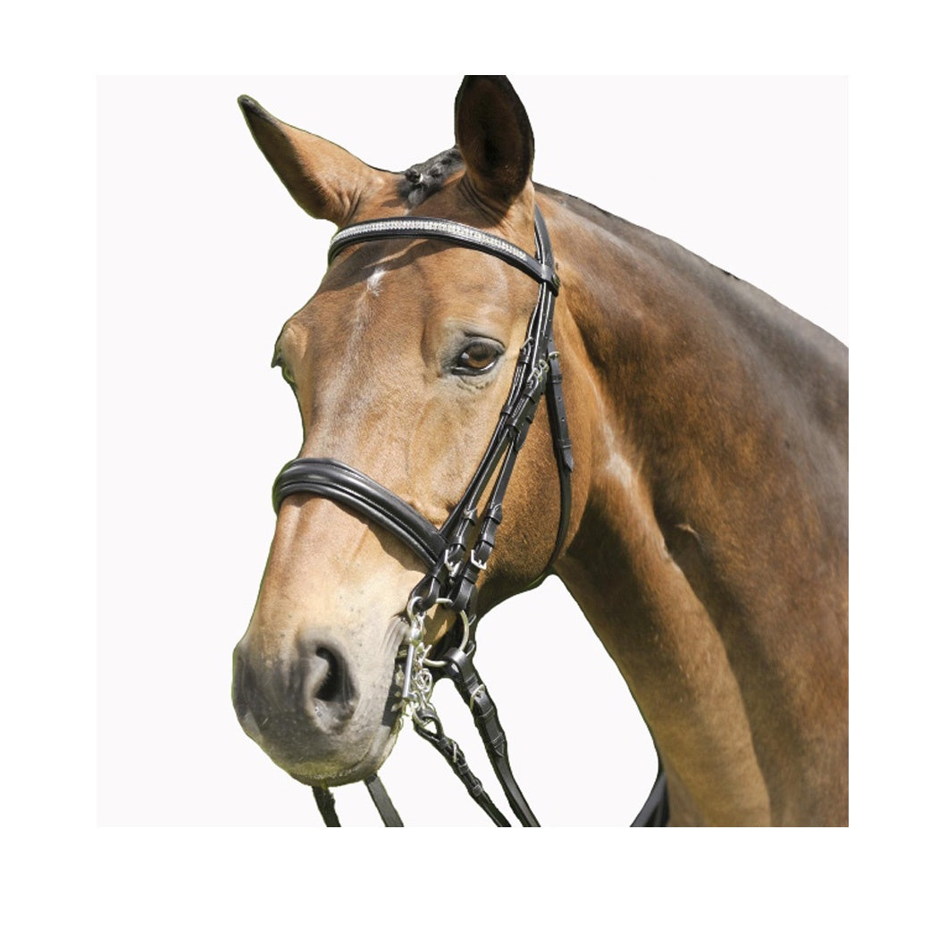Wembley Darlington Double Bridle