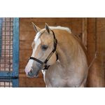 Perri's 1"  Turnout Halter Brass Hardware