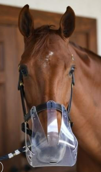 Flexible Filly Grazing Muzzle