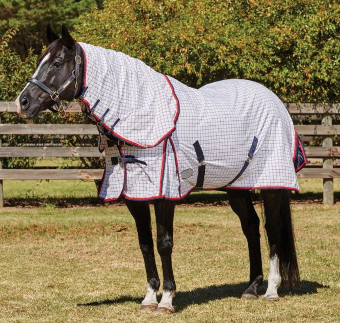 Weatherbeeta Summer Sheet Lite Combo Neck