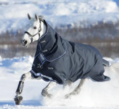 Amigo Bravo 12 Plus 400g