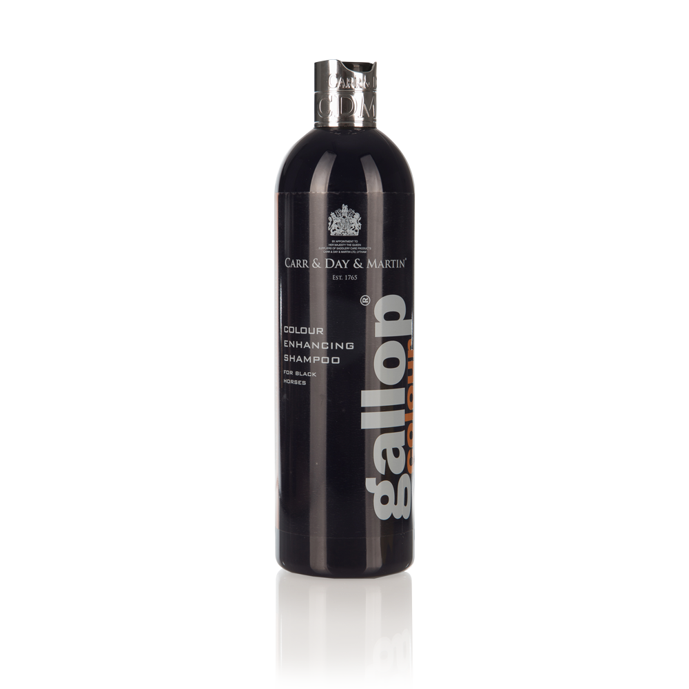 Gallop Color Enhancing Shampoo