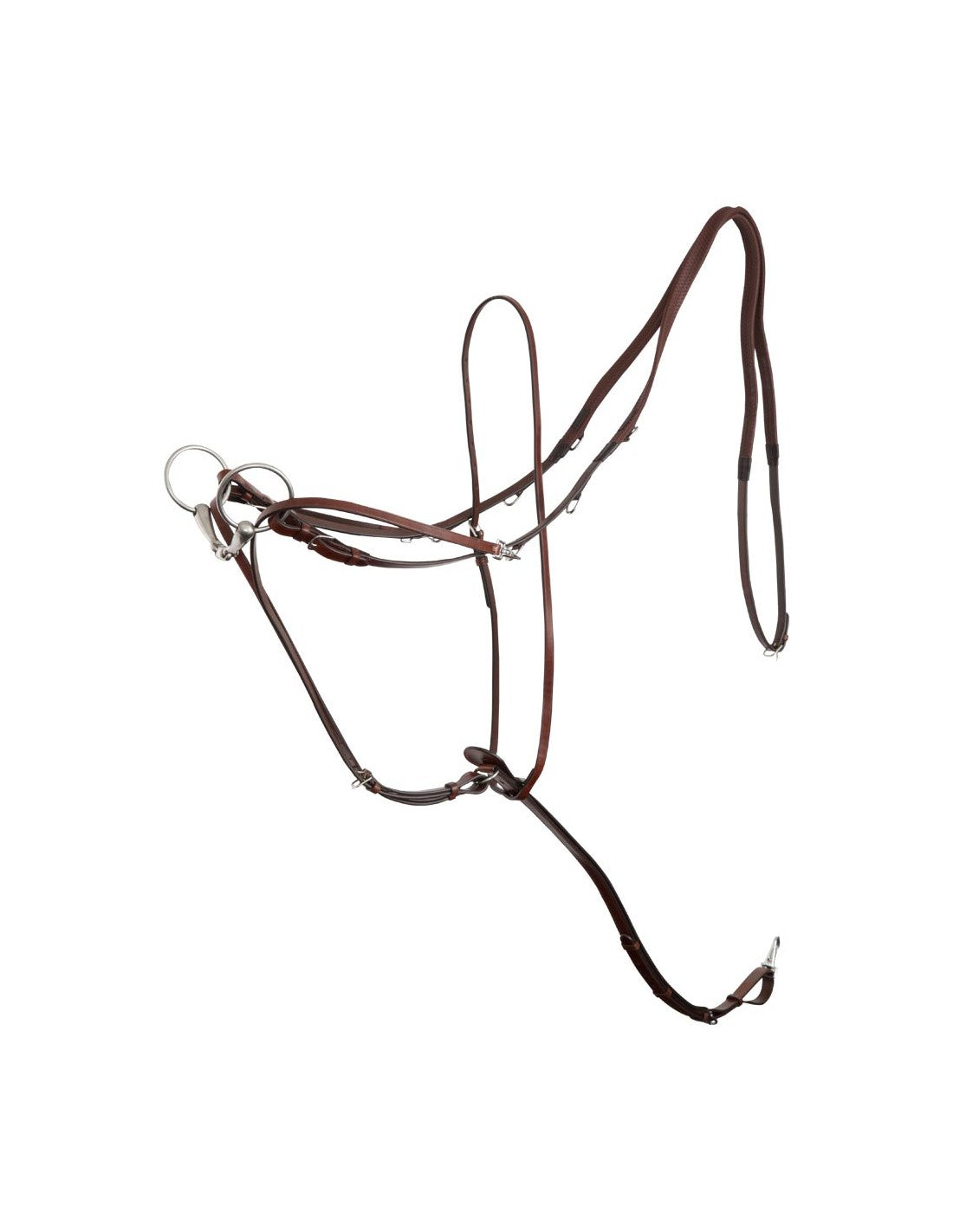 BR-Lancaster Thiedeman reins