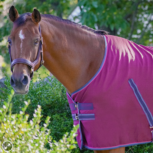 Rambo Stable Sheet