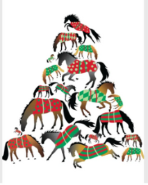 Festive Boxed Christmas Cards