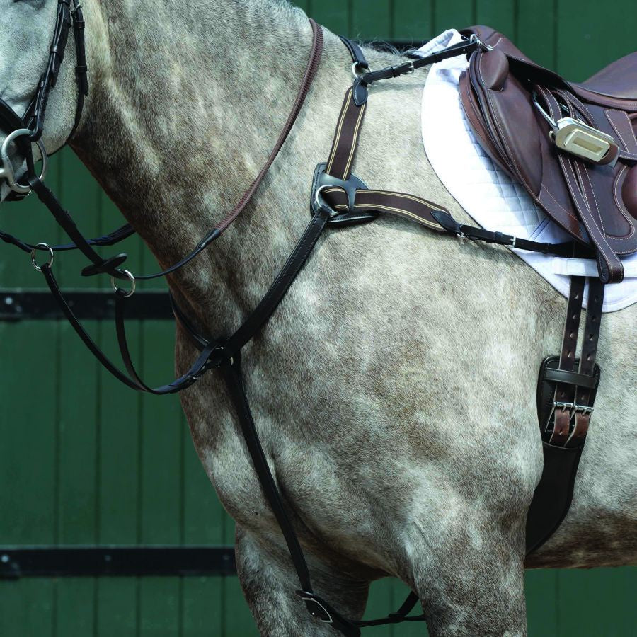 COLLEGIATE ESSENTIAL 5-POINT BREASTPLATE