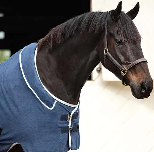 Rambo Supreme Dry Rug