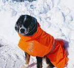 Hurtta Extreme Warmer