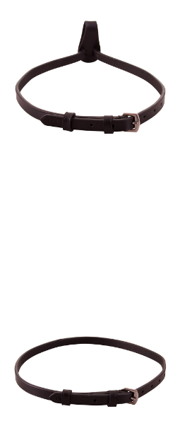 Flash Strap with or without attachment