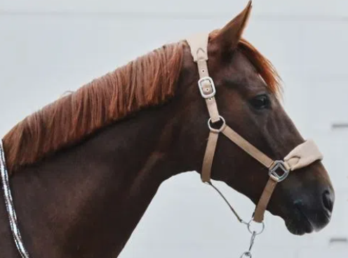 Horze Fleece Halter