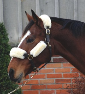 Sheepskin halter cover set