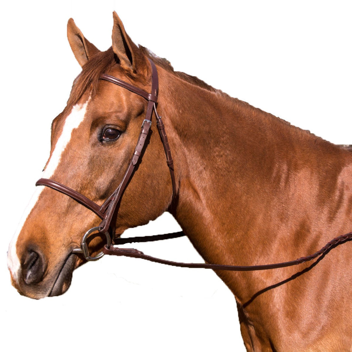 Legacy Plain Raised Snaffle Bridle