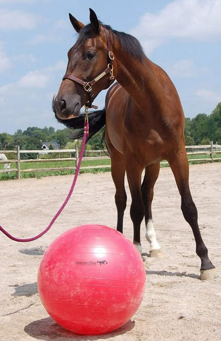 Horseman's Pride Inflatable Ball