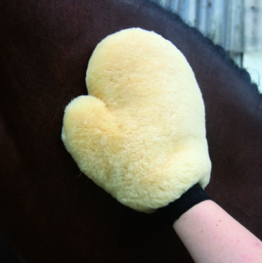 Lambskin Grooming Glove