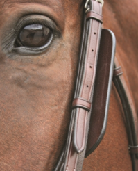 Ninn Finer Leather Blinker
