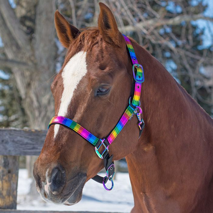 Nylon Metallic Rainbow Halter