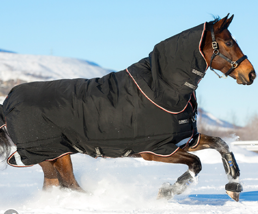 Rambo Supreme Turnout 420g