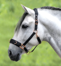 Rose Gold Lunging Cavesson