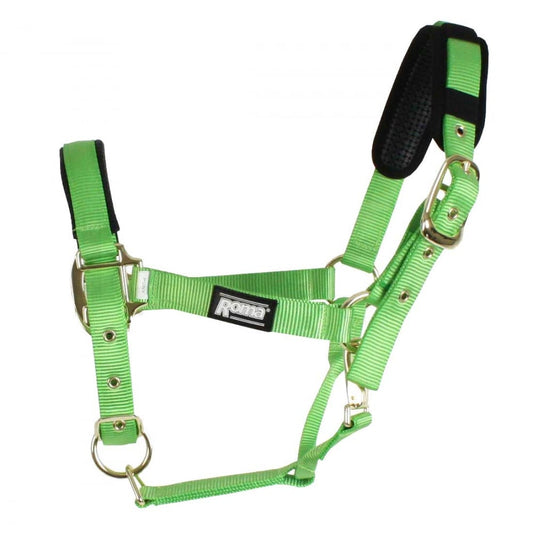 Roma Brights Breakaway Halter