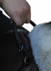 Excelle Bucking Grab Strap