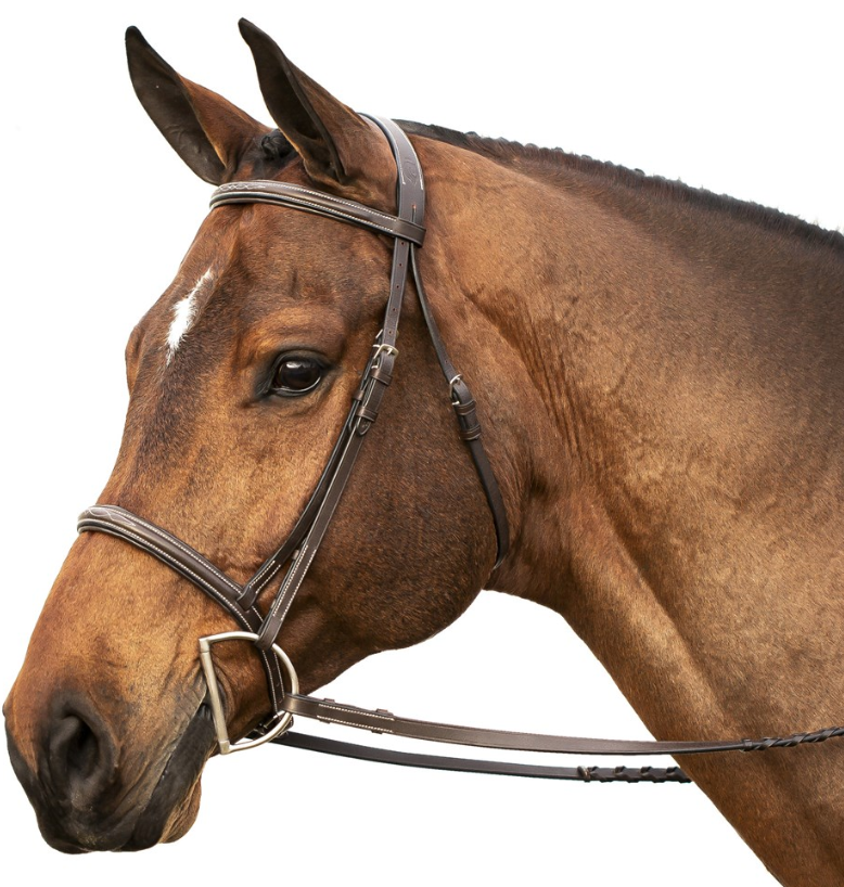 Saga Hunter Bridle