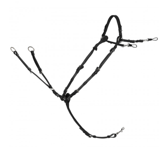 Schockemohle Sevilla Select  5 point breastplate