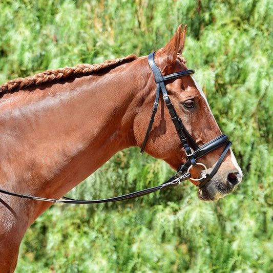 Bobby's Tack Padded Crank Flash Bridle
