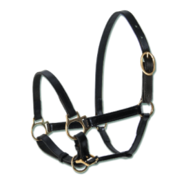 Foal Halter-Adjustable