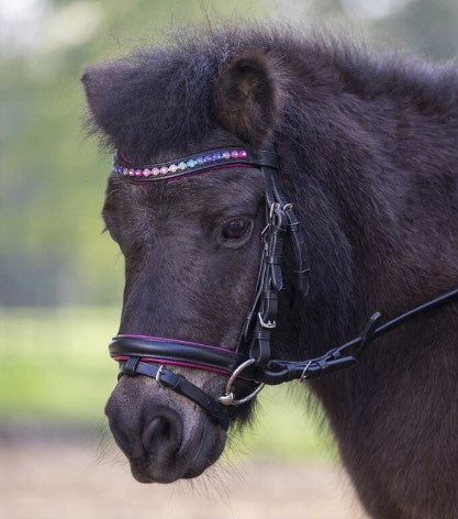 Leather Pony Bridle