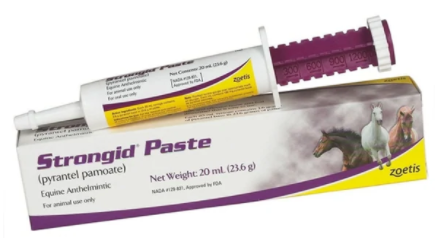 Strongid P De Wormer