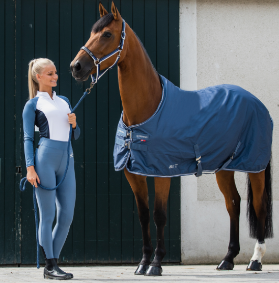 B//Vertigo Virginia Summer Stable Rug