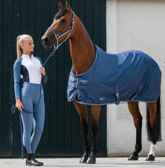 B//Vertigo Virginia Summer Stable Rug