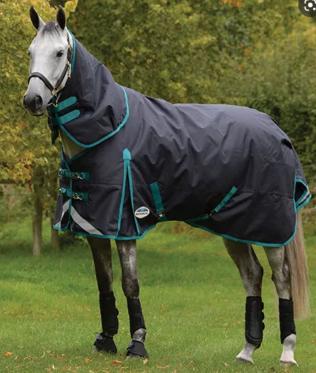 Weatherbeeta Comfitech Plus Dynamic II 220g