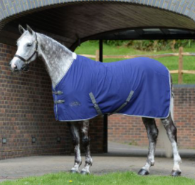 Weatherbeeta Cotton Show Sheet with Surcingle