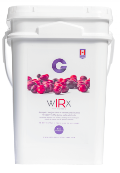 G's Wirx